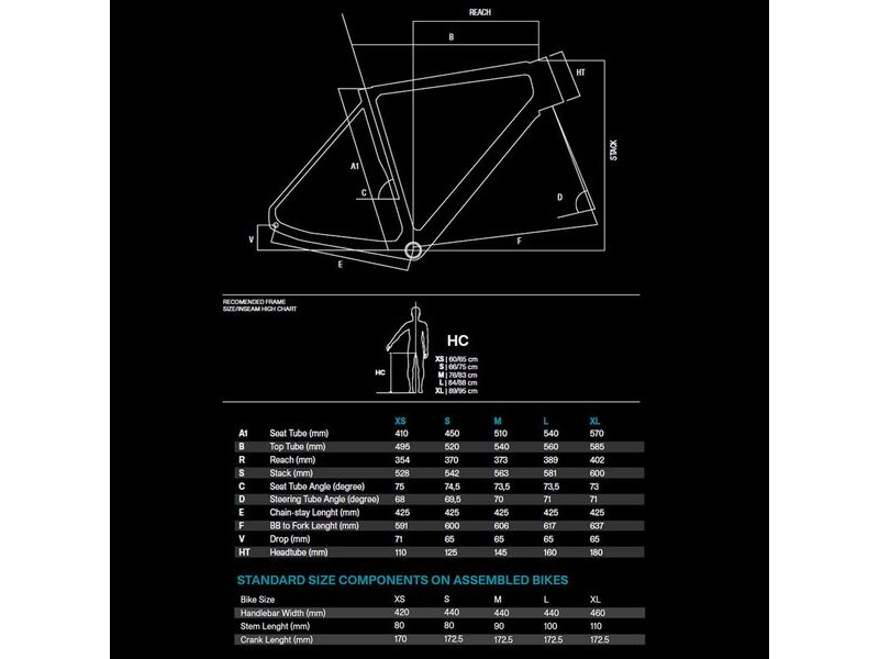 Basso bike size guide sale